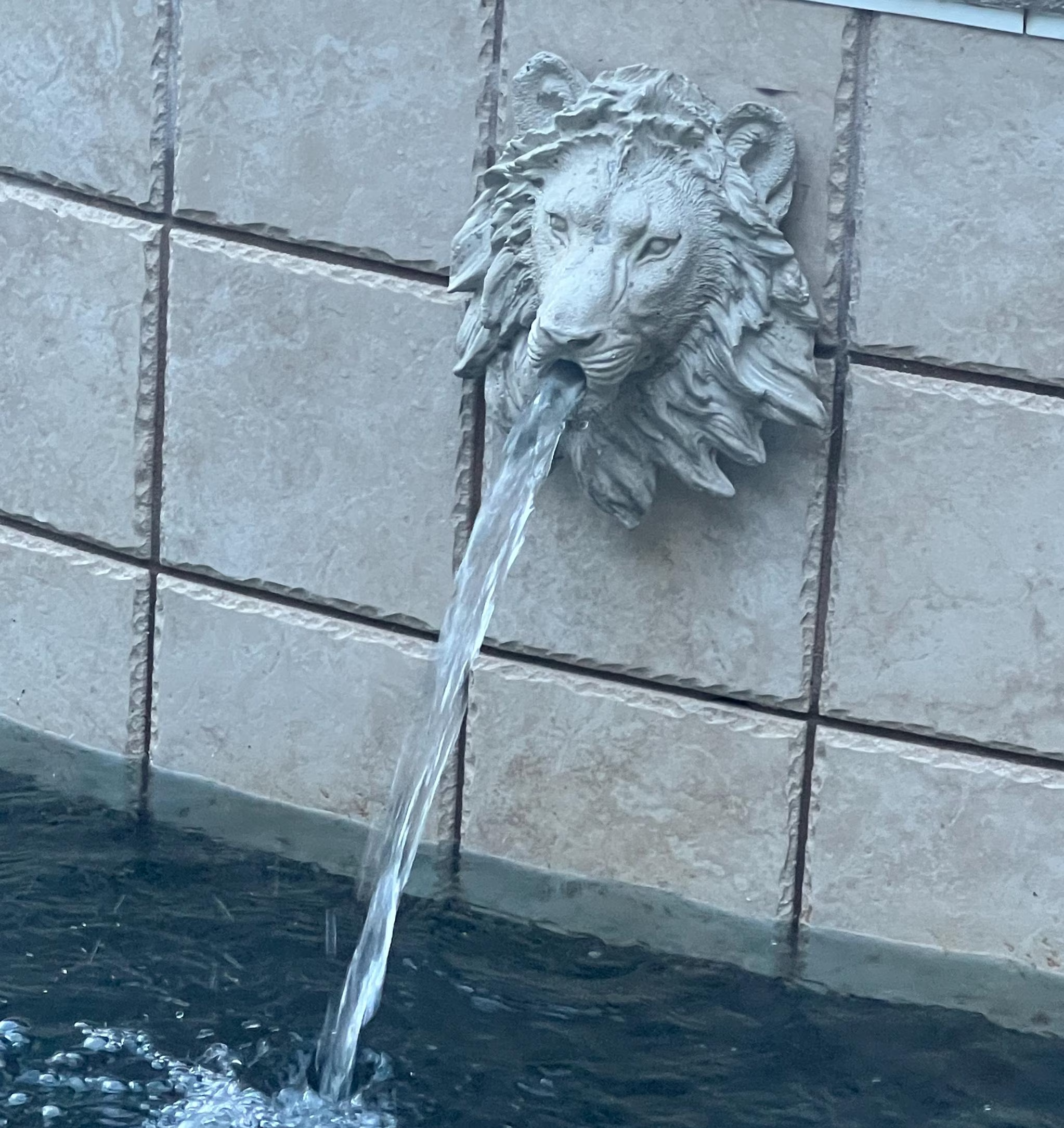 Lion Head Fountain Statue | Concrete Garden Decor Water Sputter | Outdoor Wall Art Pool Feature